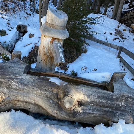 Ferienwohnung 4 Personen Alleinlage Am Wald Naehe Skigebiet Hochzeiger Єрценс Екстер'єр фото